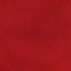 Meet your Posher, Sandy